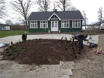 Stine og Thomas igang med plantningen