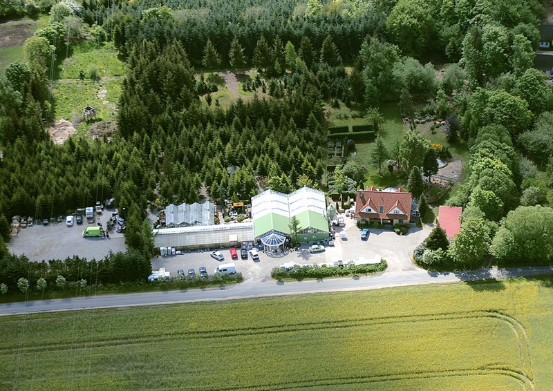År 2006