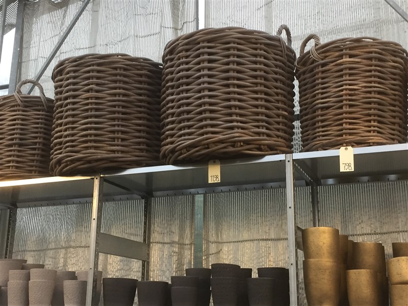 Kurve i rattan