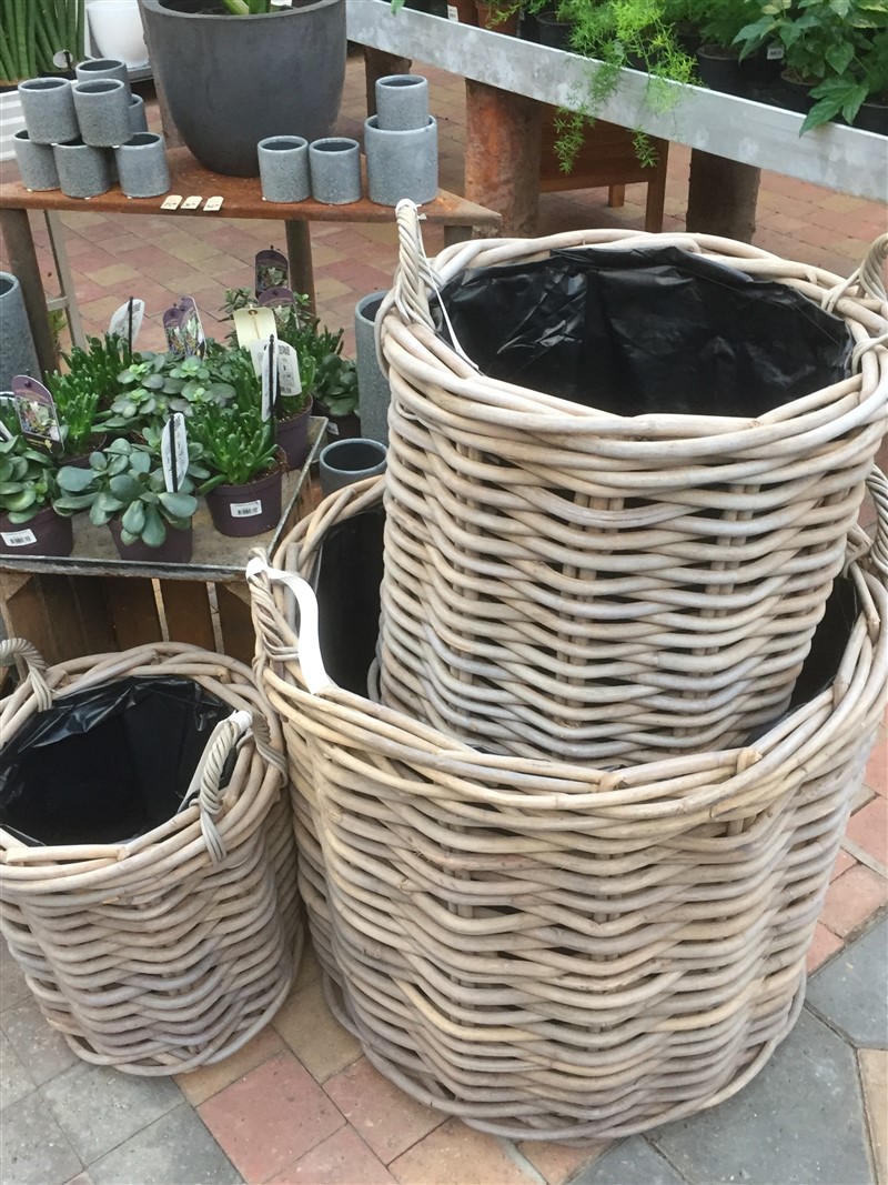 Kurve i rattan